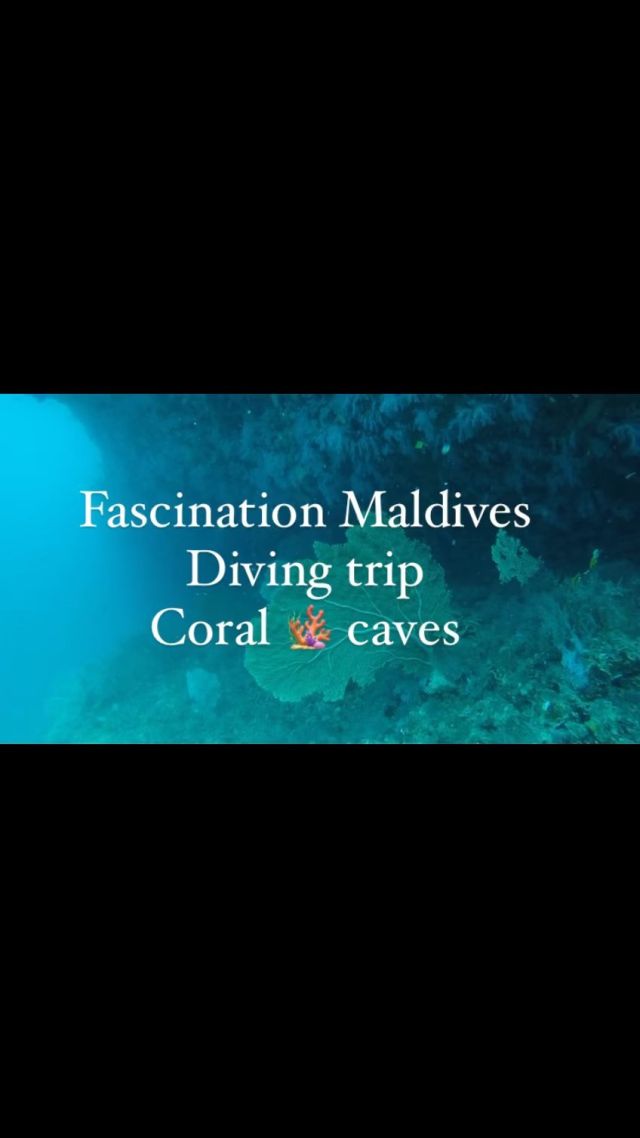 Diving trip on yacht Fascination in the Maldives 🇲🇻 
Live coral 🪸 cave dive 

www.fascinationmaldives.com

info@fascinationmaldives.com

#diving #divingtrip #divinginthemaldives #yachtdiving #divingholiday #divingholidays #divingdestination #maldivescruise #maldives #maldive