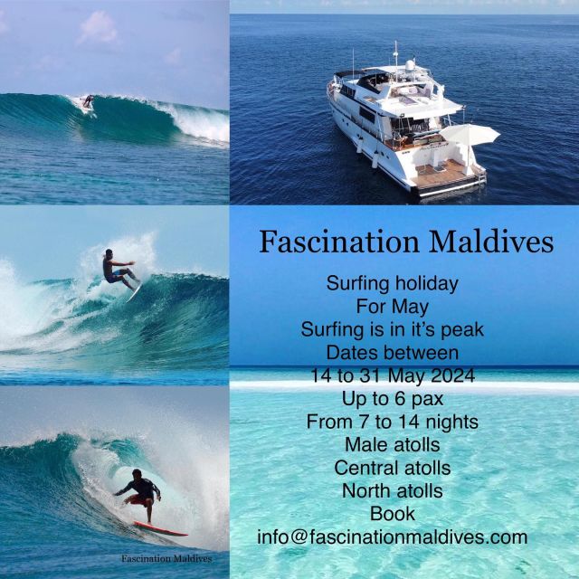📌Some dates left in the month of May 2024 ‼️ 
From the 14 to 31 May 2024 
Book from 7 to 14 nights surf trip 
Up to 6 pax 
3 double or twin sharing cabins
Routes:
- Male atolls
- Central to Dhaalu & Meemu atolls 
- Central to Thaa atolls 
- South Central to Laamu atolls 
- North Maldives atolls

Choose your surf breaks and we will take you there !! 
Surfing holidays for families or groups of friends up to 6 pax

‼️last chance for the month of May ‼️

Contact us: ℹ️ info@fascinationmaldives.com

www.fascinationmaldives.com 

#maldivessurfcharters #maldivessurf #maldivessurfing #surfing #surfingchartersinthemaldives #surfingholidays #surfdestination #surfclub #surfaboardliveaboard #surfgetaways #maldivescruise #maldives🇲🇻 #surfmag #surfphotography