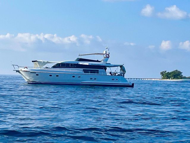 Snorkeling 🤿 on the reef 🪸 amazing colors today !!
Happy family holidays surfing 🏄🏼‍♂️ and snorkeling 🤿 

Ask for your quotation for your next holiday in the Maldives 🇲🇻 on yacht 🛥️ Fascination 
ℹ️ e-mail us 
info@fascinationmaldives.com 

www.fascinationmaldives.com 

#fascinationseaside #yachtcharter #yachtsnorkeling #yachtfascinationmaldives #yachtpeople #family #familyholiday #familyholidays #turquoisewater #snorkling #snorkel #maldivessurfing #maldivescruise #maldives #maldiveslovers #maldivesbeach #maldivestrip #maldivesmania