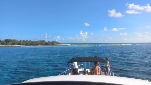 Fly to Maldives 🇲🇻 and take a luxury surf 🏄🏼‍♂️ trip on yacht 🛥️ Fascination 

Private surf trip for your family or group of friends up to 6 guests in 3 double cabins with bathrooms 
Fully crewed 

We will take you to uncrowded surf breaks in the Maldives 🇲🇻 

Some dates this season still available, ask for a quotation and availability 
Email To Maxine 
info@fascinationmaldives.com

www.fascinationmaldives.com 

#surfpoint #surf #surfing #surfinglife #surfmaldivas #surfmaldive #surftrip #surftravel #surf_maldives #maldivescruise #maldivessurf #surfswell #surfboats #surfboard #pointbreak #maldives #maldive #surfyachtcharter #yachtcharter #yachtsurfing