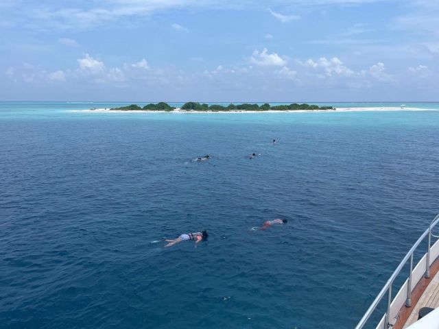 Shipwreck snorkeling 🤿, what an adventure !! Turquoise waters !! 
 
looking for a family adventure holiday !! Yacht Fascination is what you need !! 

www.fascinationmaldives.com 

#adverture #adventures #yachtcruise #yachtcharters #holidays #holidaybucketlist #bucketlist #holidayinmaldives🇲🇻 #maldivesshipwreckfun #maldive #maldiv #maldischiena #maldiveisland #snorklingtrip #snorkling